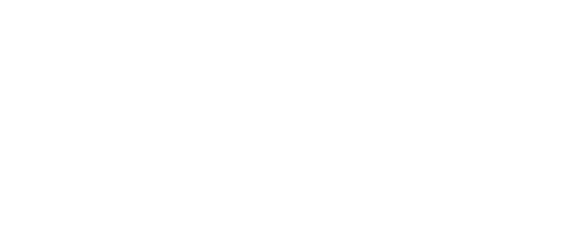 img/Logos/DanusiaDebska.png