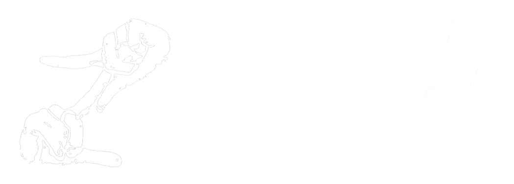 img/Logos/Zoukisoara.png